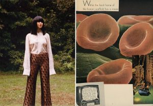 Follow the bass: An interview with Laura Lee of Khruangbin - Teeth Magazine