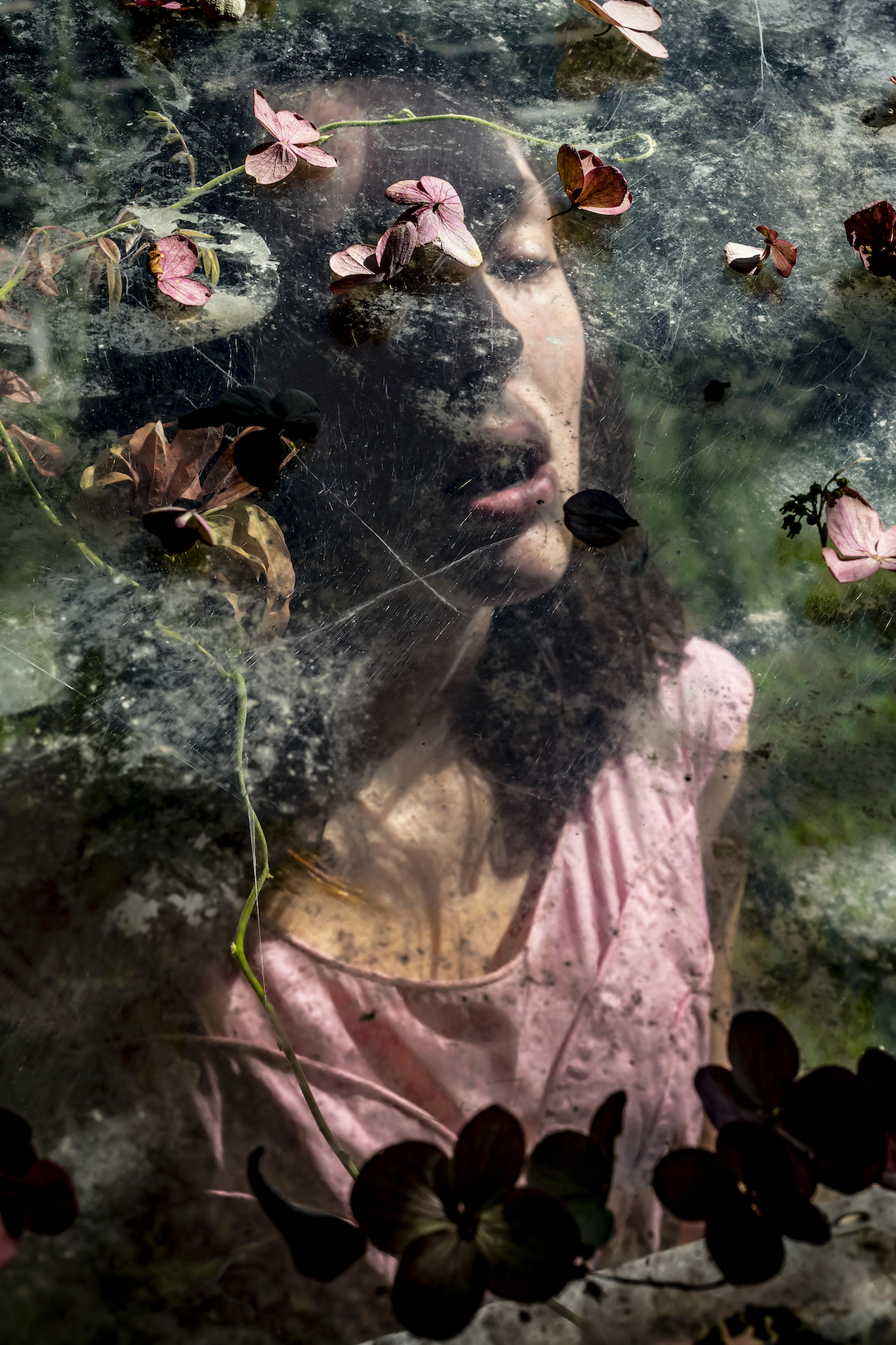 Beauty and Joy: An interview with artist Cig Harvey - Teeth Magazine